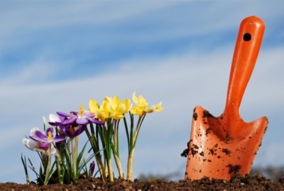 Áprilisi kert teendők Kertgondozás áprilisban